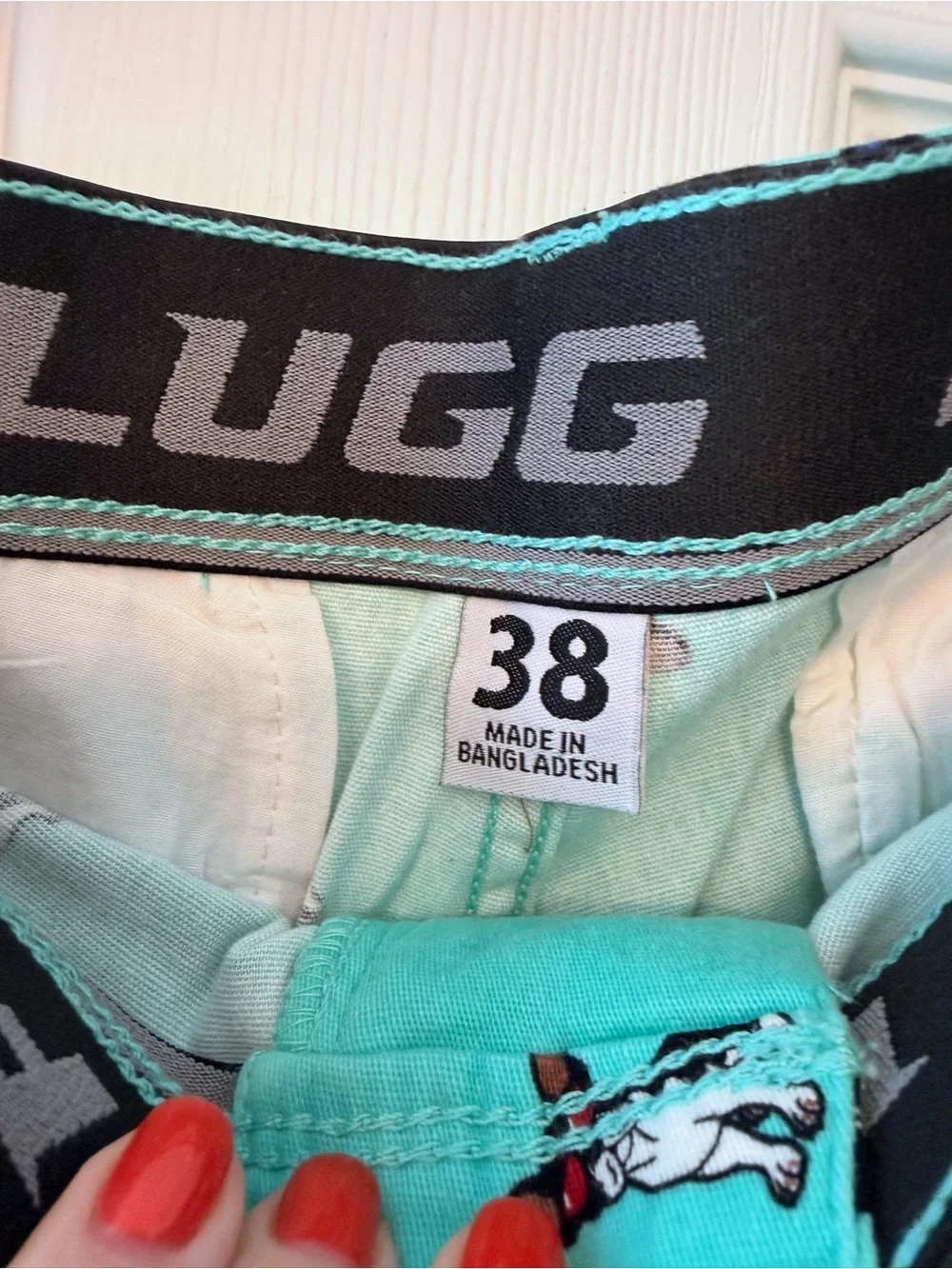 Plugg Men's Flex Waist Teal Shorts with Boston Terrier Dog Sunglasses